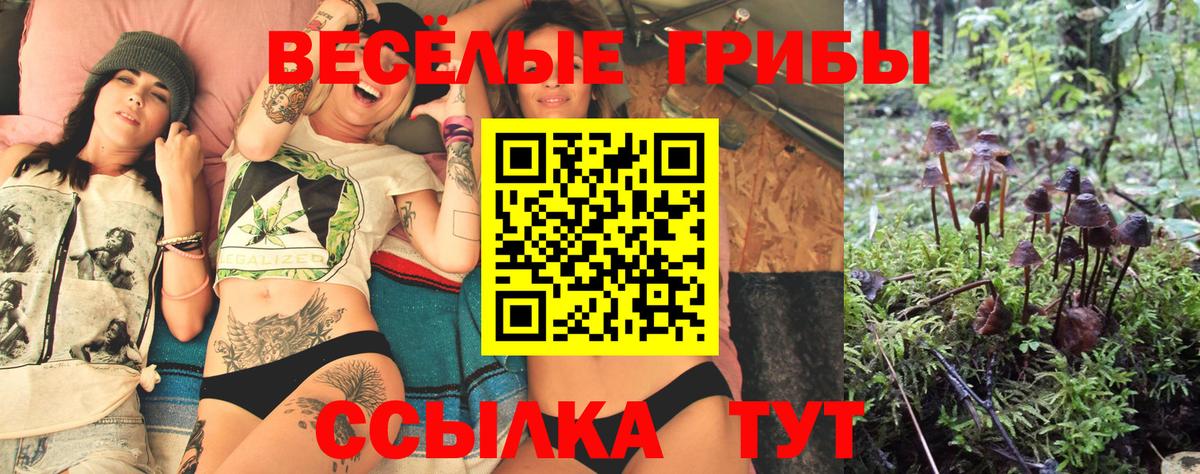 Галлюциногенные грибы Cubensis Орск