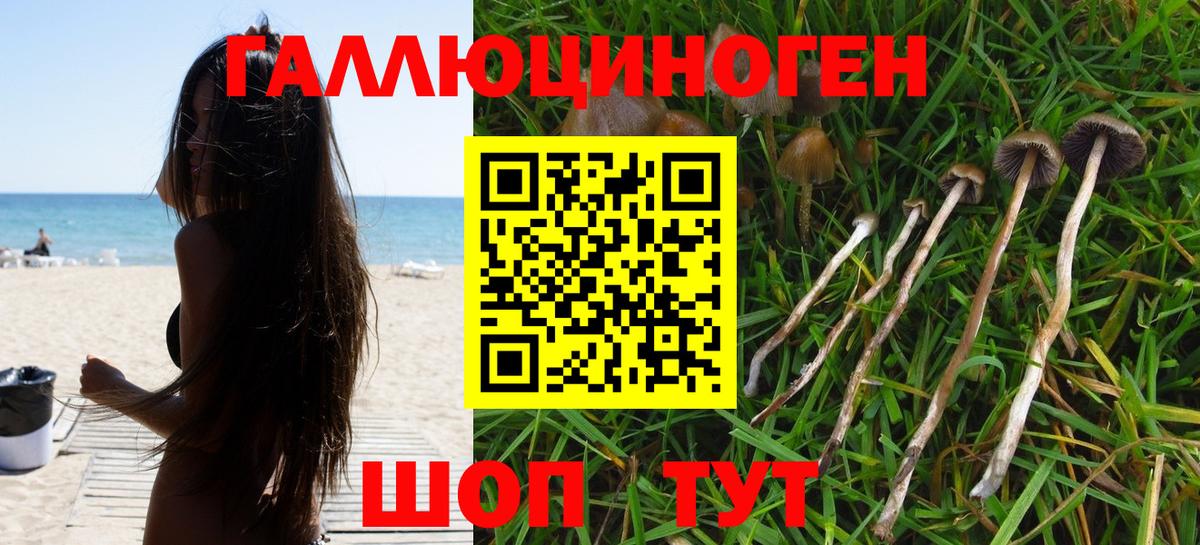 Псилоцибиновые грибы MAGIC MUSHROOMS  Вход с VPN  Орск 